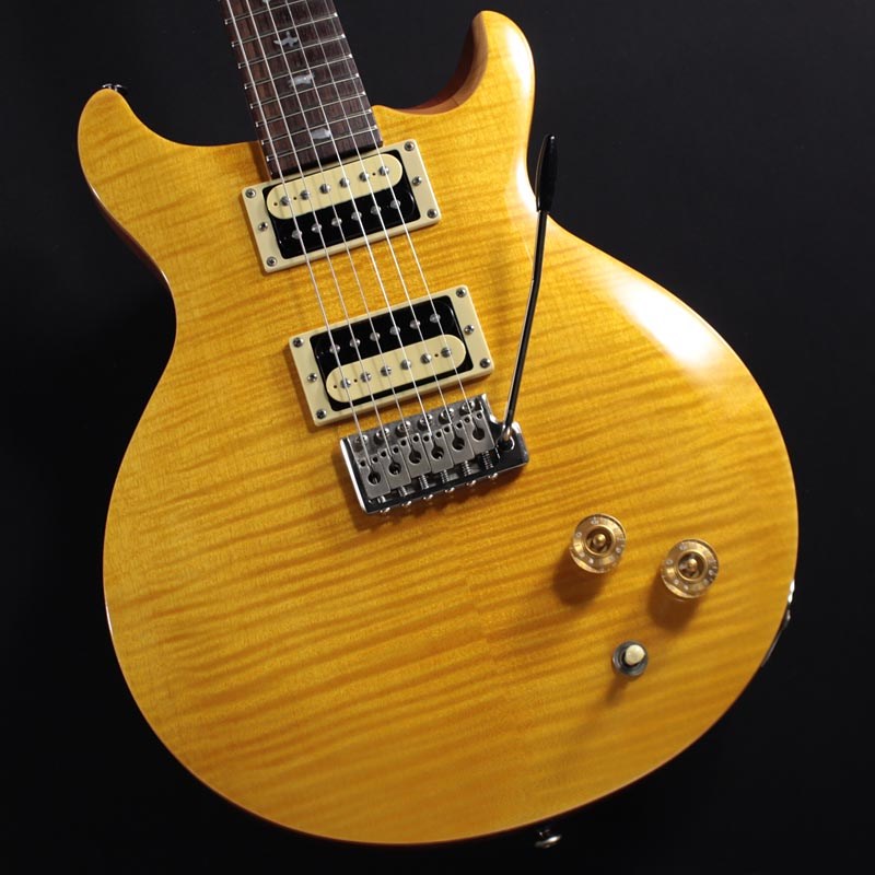 P.R.S. SE Santana (Santana Yellow)の画像